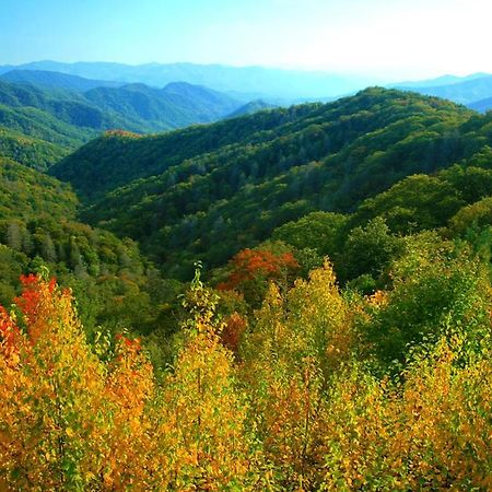타운센드 Luxury Private 15 Acre, Secluded W Amazing Views 빌라 외부 사진