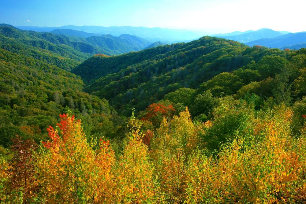 타운센드 Luxury Private 15 Acre, Secluded W Amazing Views 빌라 외부 사진